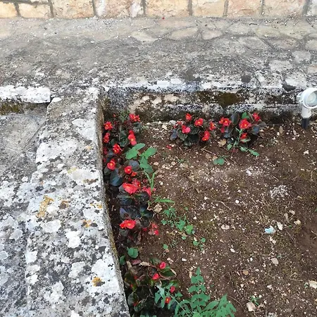 Villa La Dimora Del Cuore *