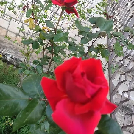 Villa La Dimora Del Cuore *