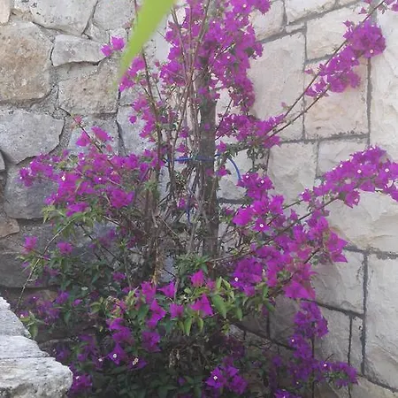 La Dimora Del Cuore Monopoli