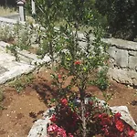 La Dimora Del Cuore Villa