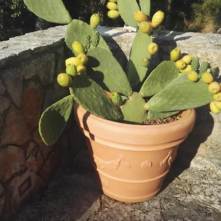 Villa La Dimora Del Cuore