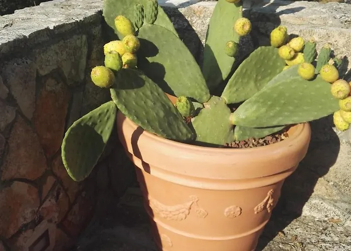 Villa La Dimora Del Cuore